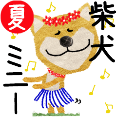 Shiba Inu "MINNIE" 2024SUMMER