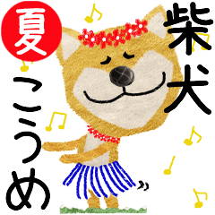 Shiba Inu "KOUME" 2024SUMMER