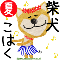 Shiba Inu "KOHAKU" 2024SUMMER