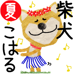 Shiba Inu "KOHARU" 2024SUMMER