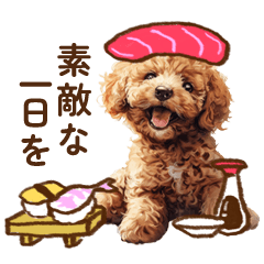 Cute Pup | Toy poodle | Food