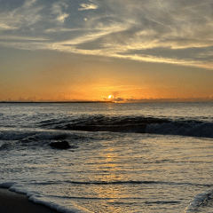 Sunrise and  greeting