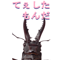 edokko from stag beetle2-BIG