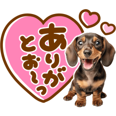 デカ文字♡ダックスフンド - LINE スタンプ | LINE STORE デカ文字♡ダックスフンド - LINE スタンプ | LINE STORE