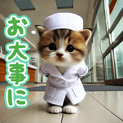 Nurse's Daily Life Munchkin' Meowth 1