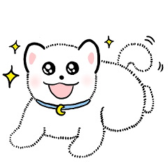 Teddy Bear Pomeranian foami