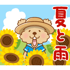 トイプーのぷう太郎 夏と雨