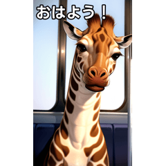 Cute giraffe rides a train