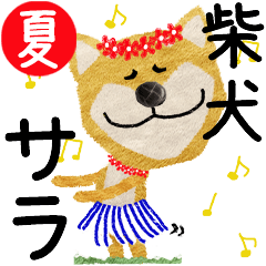 Shiba Inu "SARA" 2024SUMMER