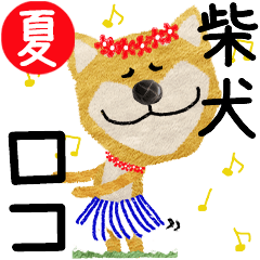 Shiba Inu "ROCO" 2024SUMMER