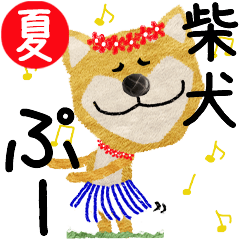 Shiba Inu "POOH" 2024SUMMER