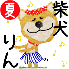 Shiba Inu "RIN" 2024SUMMER