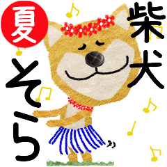 Shiba Inu "SORA" 2024SUMMER