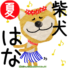 Shiba Inu "HANA" 2024SUMMER