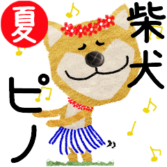 Shiba Inu "PINO" 2024SUMMER