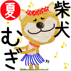 Shiba Inu "MUGI" 2024SUMMER