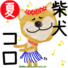 Shiba Inu "CORO" 2024SUMMER