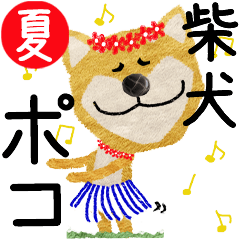 Shiba Inu "POCO" 2024SUMMER