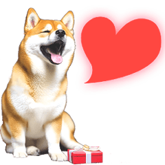 Shiba Inu Sticker: No Text