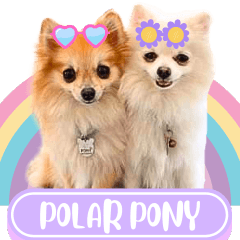 WOOFME WITH POLAR PONY