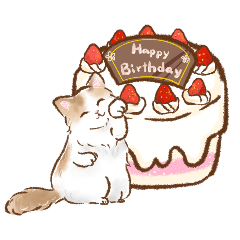 Happy birthday to cat