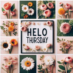 FLOWER THURSDAY set1