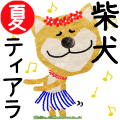 Shiba Inu "TIARA" 2024SUMMER