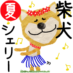 Shiba Inu "Sherry" 2024SUMMER