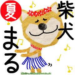 Shiba Inu "MARU" 2024SUMMER