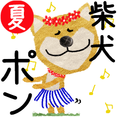 Shiba Inu "PON" 2024SUMMER