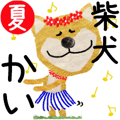 Shiba Inu "KAI" 2024SUMMER