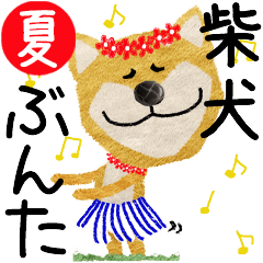 Shiba Inu "BUNTA" 2024SUMMER