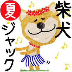 Shiba Inu "Jack" 2024SUMMER