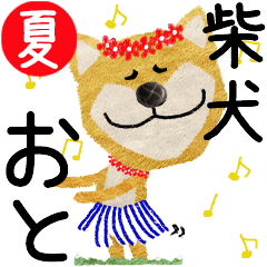 Shiba Inu "OTO" 2024SUMMER