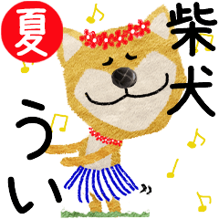 Shiba Inu "UI" 2024SUMMER