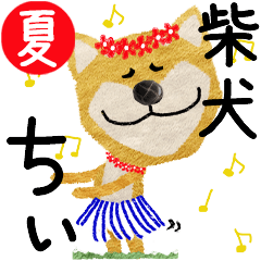 Shiba Inu "CHI" 2024SUMMER