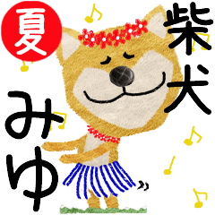 Shiba Inu "MIYU" 2024SUMMER