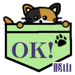 Katsuyama's Pocket Cat's