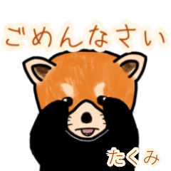 Takumi's lesser panda