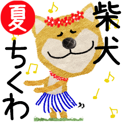 Shiba Inu "CHIKUWA" 2024SUMMER