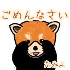 Tamiyo's lesser panda