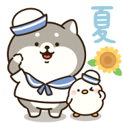 Chubby black Shiba dog sticker(Summer)