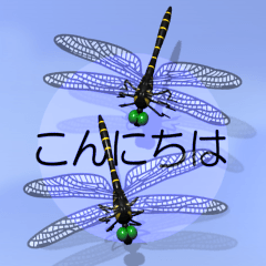 Dragonfly 4 (pop-up)