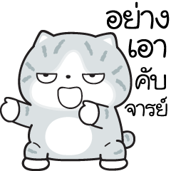 มันแกว มันคือแมวตัวตึง V.7