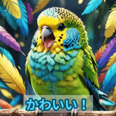 Mint the Budgerigar's Daily Life