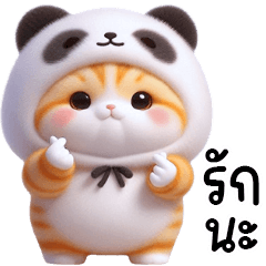 Little Panda Cat
