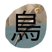 okome_20240731131159