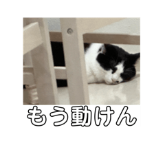 daleska_20240731131727