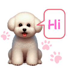 Bichon Mini