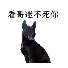 各種動物的貼圖